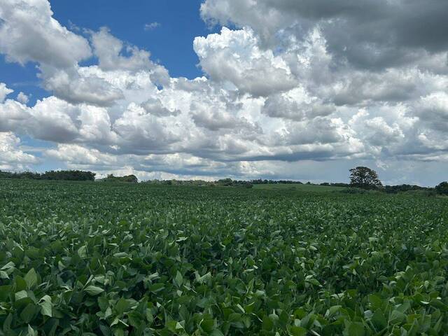 #850 - Área para Venda em Limeira - SP - 1