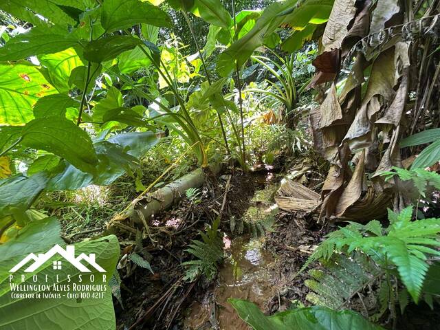 Área para Venda em Limeira - 3