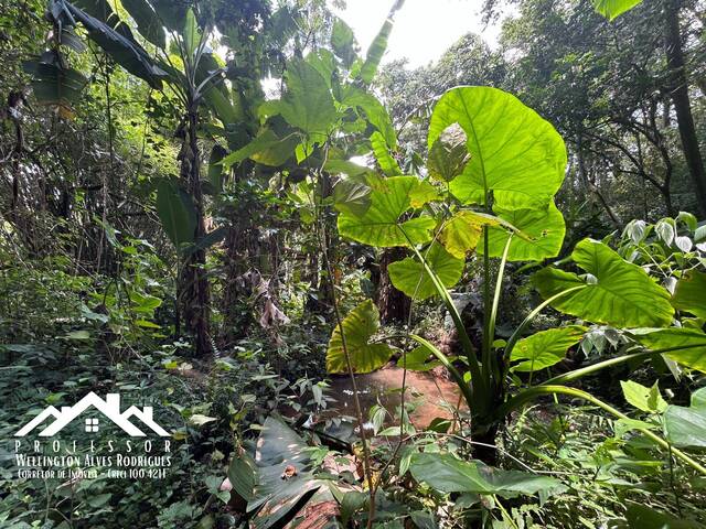 #855 - Área para Venda em Limeira - SP - 3