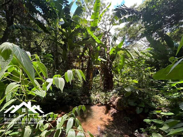 Área para Venda em Limeira - 5