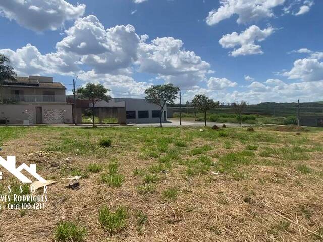 #894 - Terreno para Venda em Limeira - SP - 3