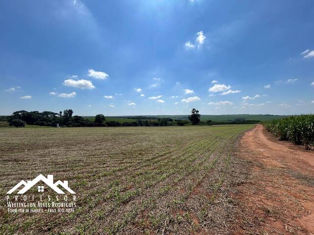 #948 - Área para Venda em Limeira - SP - 1