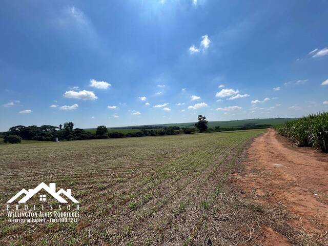 Área para Venda em Limeira - 5
