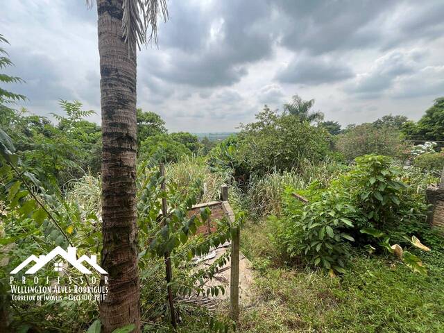 #962 - Chácara para Venda em Santa Bárbara d'Oeste - SP - 3