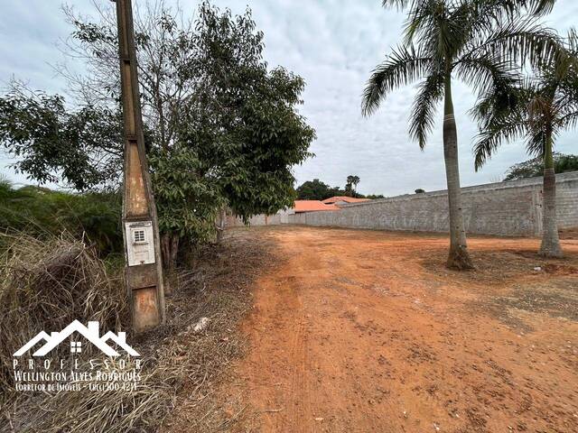 Venda em Graminha - Limeira