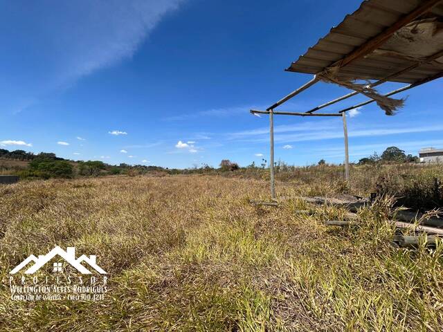 #1174 - Chácara para Venda em Limeira - SP - 3