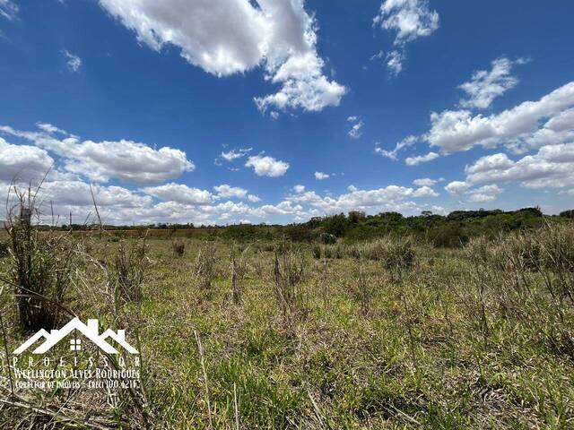 #1223 - Chácara para Venda em Limeira - SP - 3