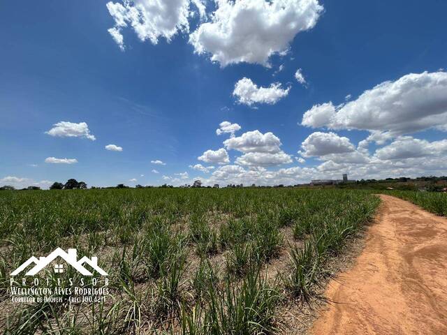 Área para Venda em Limeira - 4
