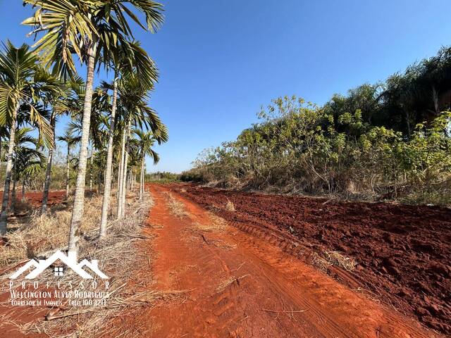 #1233 - Área para Venda em Iracemápolis - SP - 2