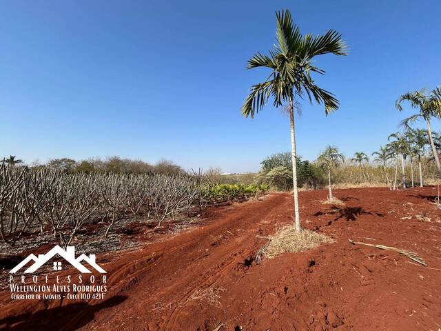 Área para Venda em Iracemápolis - 4