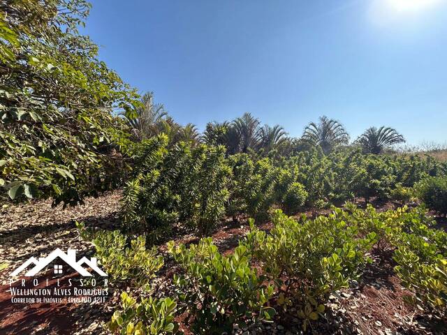 Área para Venda em Iracemápolis - 5