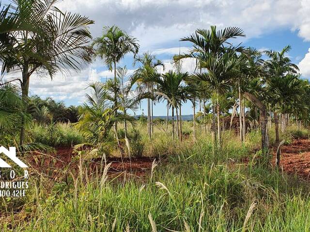 #1231 - Área para Venda em Limeira - SP - 3