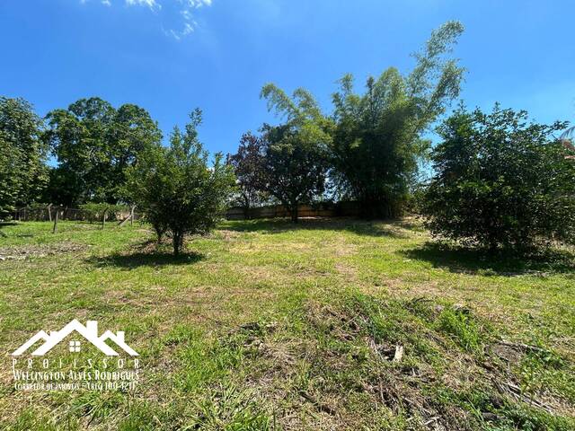 #1244 - Chácara para Venda em Limeira - SP - 2