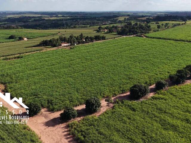 #989 - Área para Venda em Limeira - SP - 1
