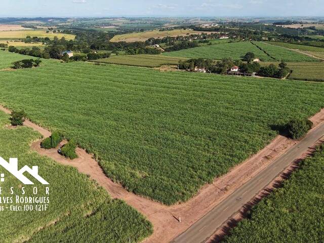 #989 - Área para Venda em Limeira - SP - 3