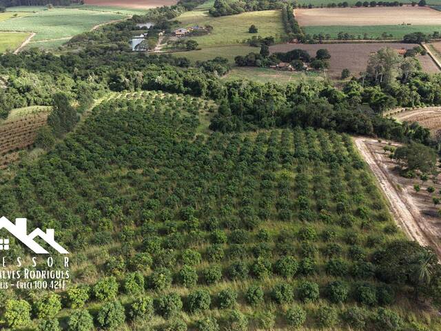 Sítio para Venda em Limeira - 5