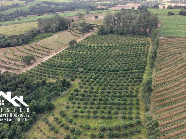 Sítio para Venda em Limeira - 4