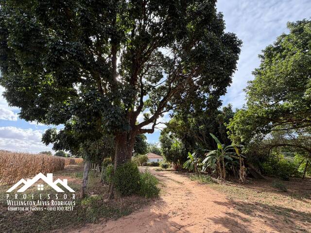 #1442 - Sítio para Venda em Limeira - SP - 3